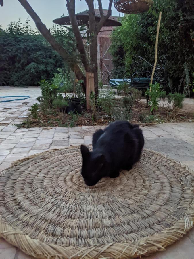 Dar Saafia Βίλα Μαρακές Εξωτερικό φωτογραφία